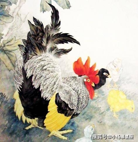 一枝独秀的生肖之谜插图