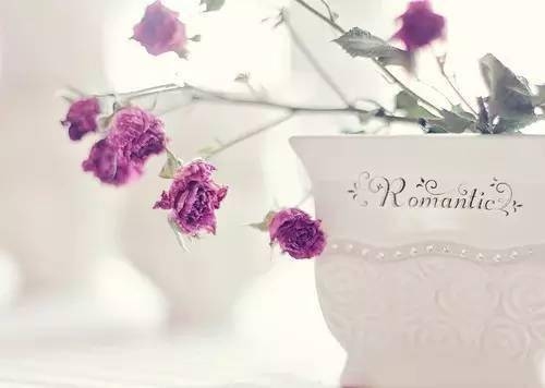 优雅个性名字设计,绽放独特魅力插图 优雅个性名字设计,绽放独特魅力插图