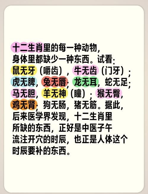 月缺花残与生肖的奥秘插图