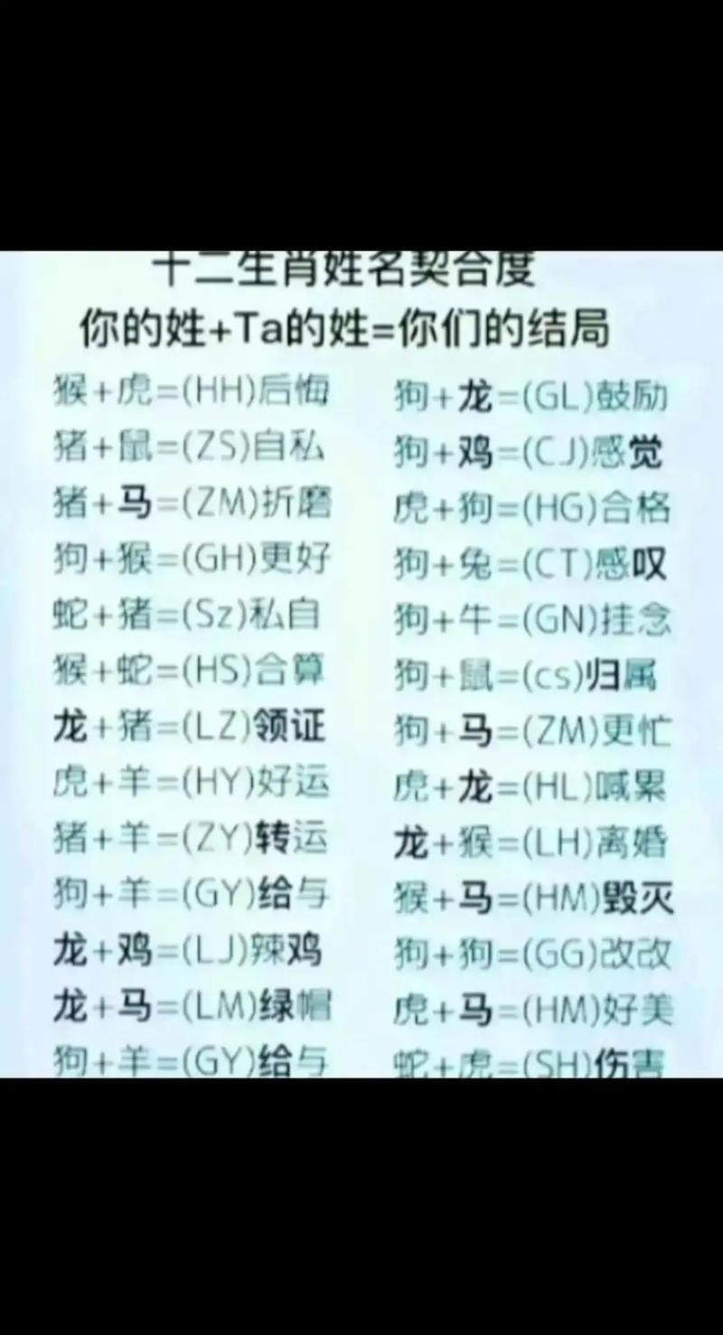 用姓名测缘分，一场关于命运的奇妙旅程插图