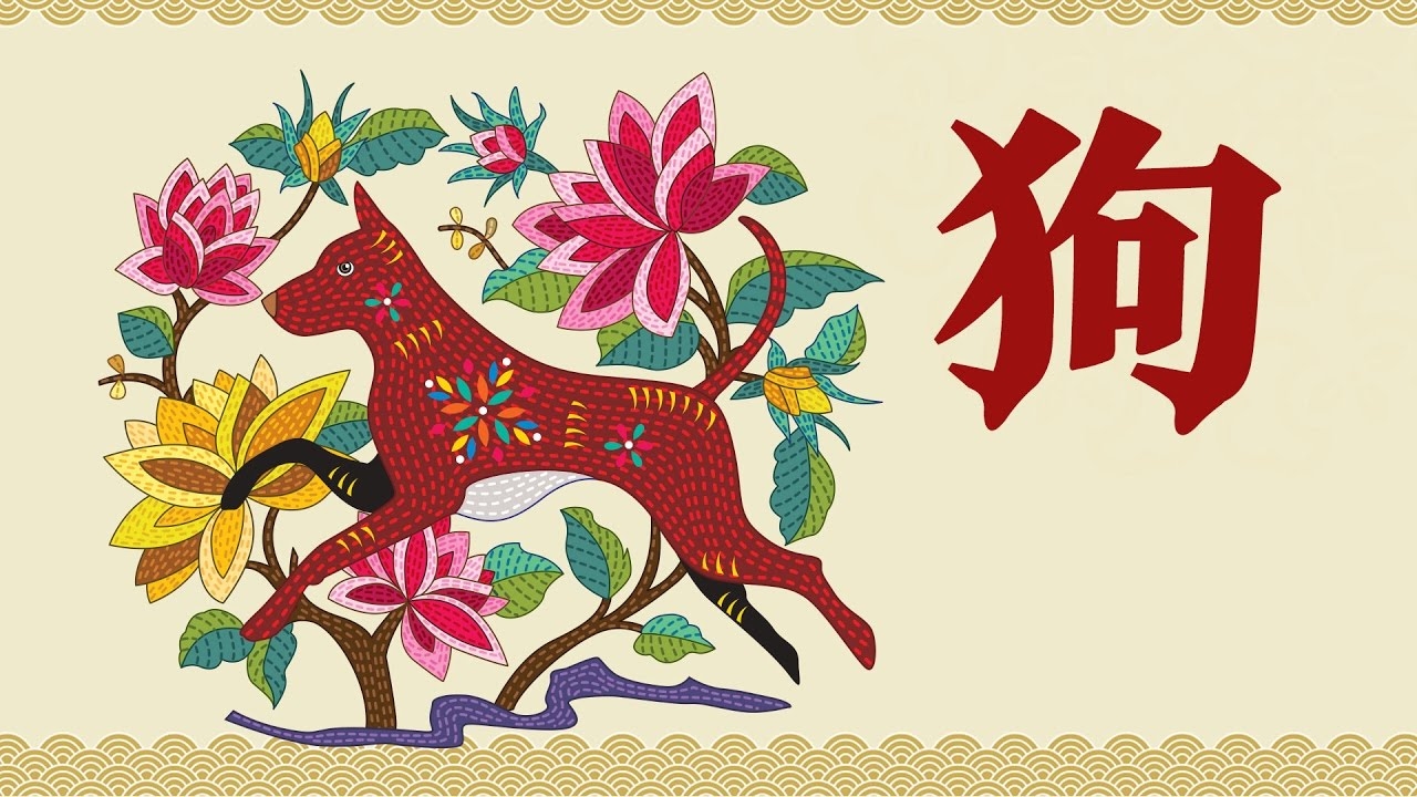 引狗入寨生肖揭秘插图 引狗入寨生肖揭秘插图