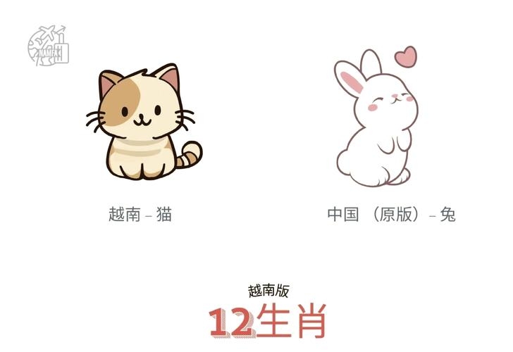 越南十二生肖，文化融合与独特魅力的探索插图