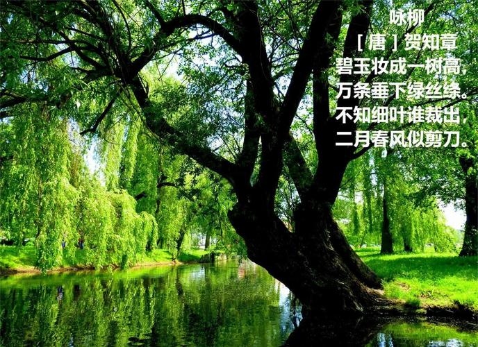 一树一春满山绿，生肖绿意盎然插图
