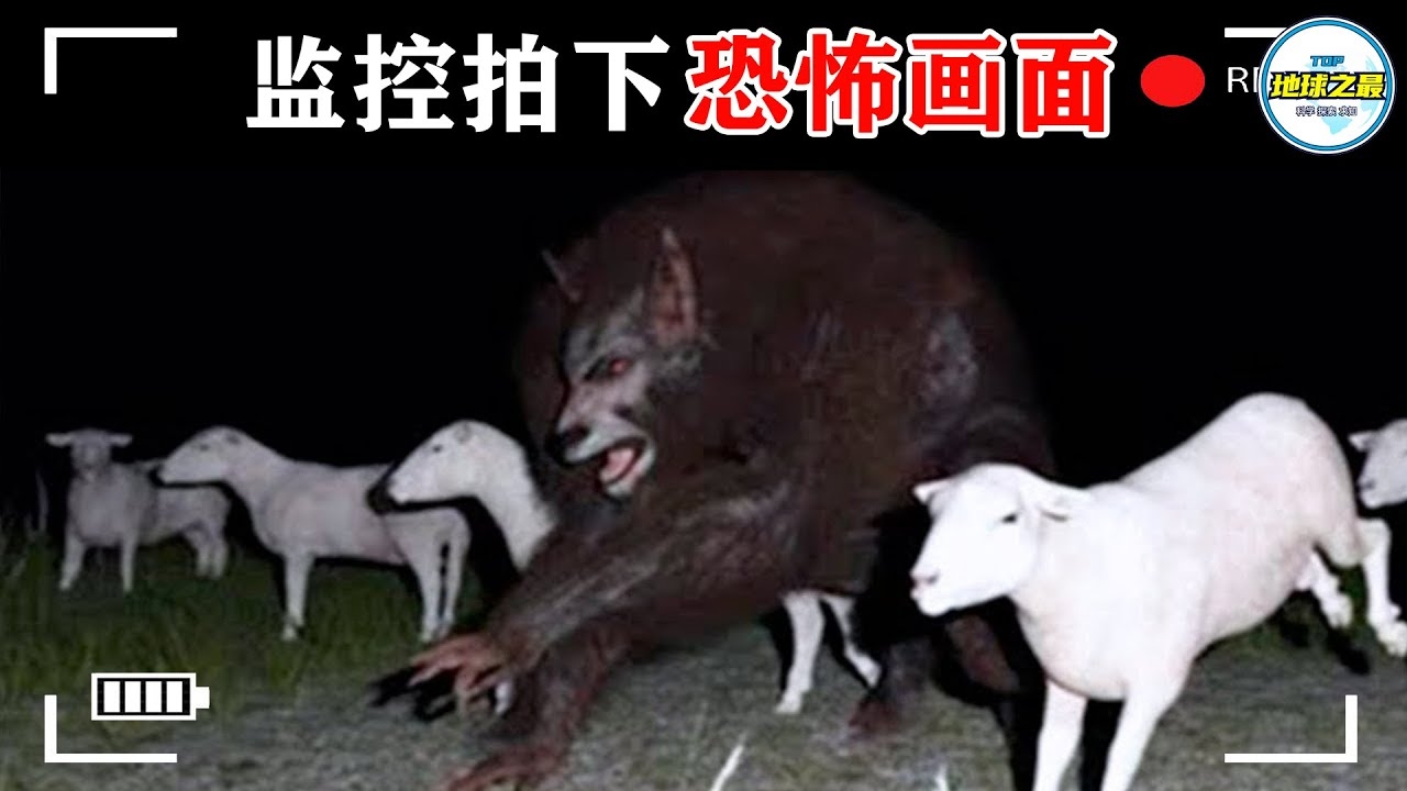 易招鬼的年龄，揭秘神秘生物的生存法则插图