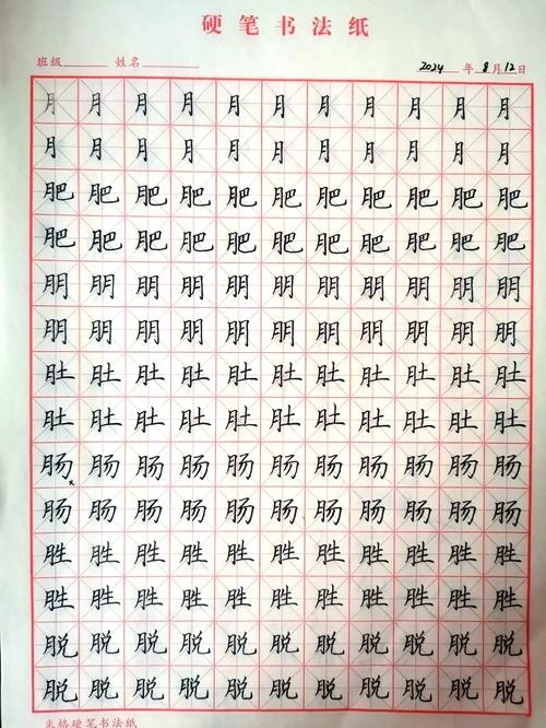 月字旁的字探究插图 月字旁的字探究插图