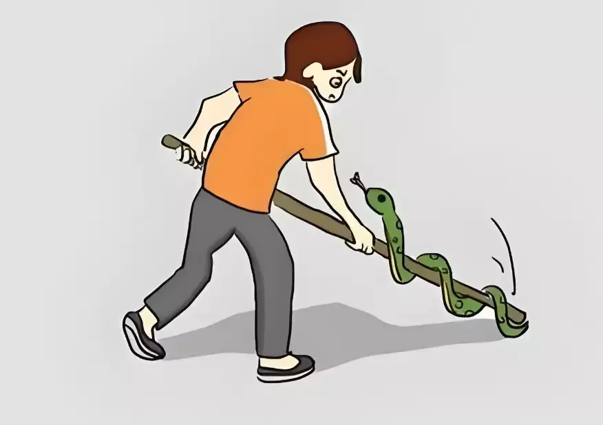 周公解梦之梦见打死蛇的寓意插图 周公解梦之梦见打死蛇的寓意插图