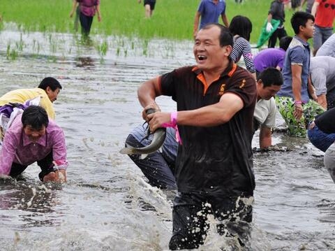 周公解梦，捉鱼寓意财富、挑战与幸福插图