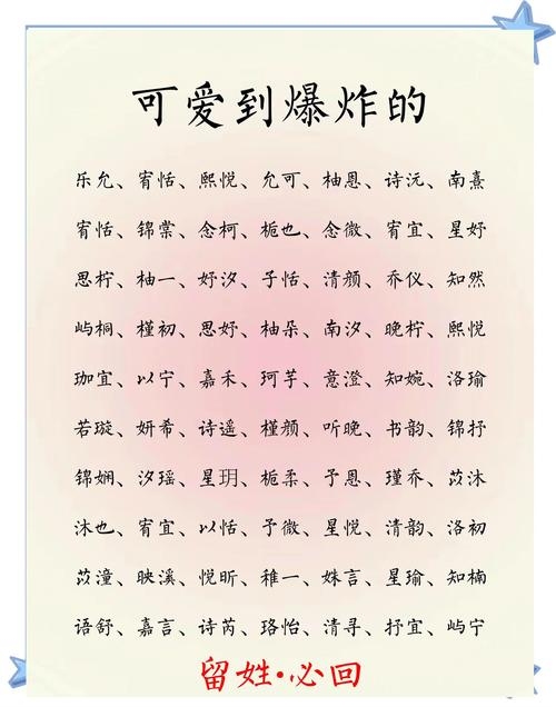 最可爱的名字插图