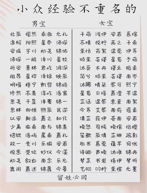 最拉风的名字，多元风格之下的个性与魅力插图