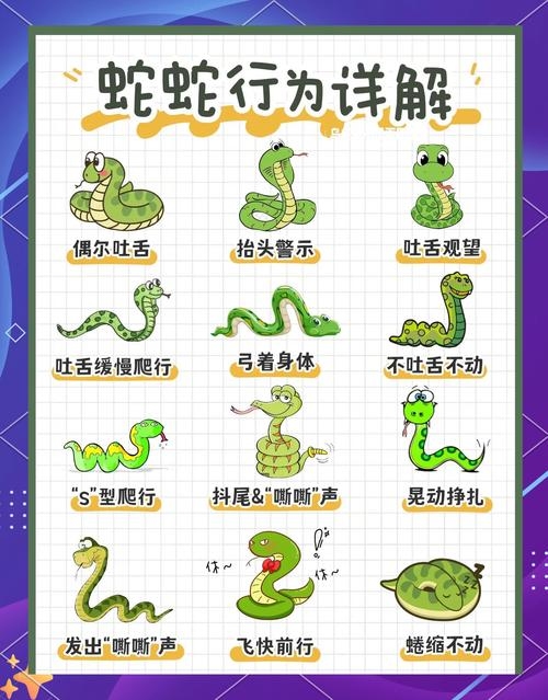 杂乱无章，猜一生肖—蛇插图