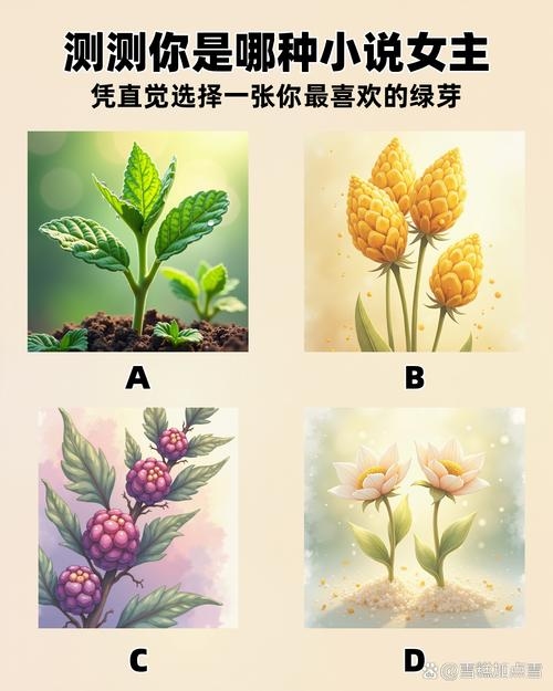 做梦梦到黄瓜，交织着自然与心灵的奇妙梦境插图