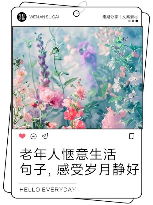 中年情感驿站，岁月静好，温情依旧插图