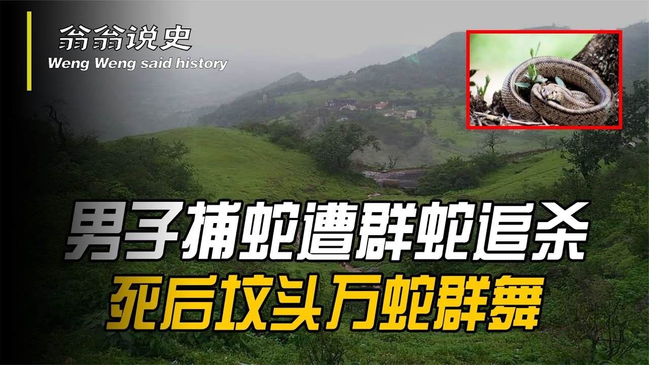 走投无路为何与蛇相关？插图