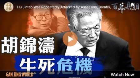 张万年未开追悼会背后的原因插图