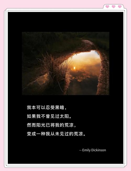 在伤感的角落里，寻找心灵的慰藉——那些让人心动的空间名插图