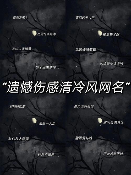 最伤感的名字插图