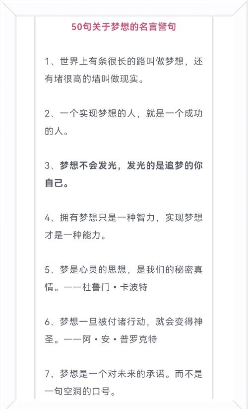 最响亮的名字，梦想与坚持的交响插图