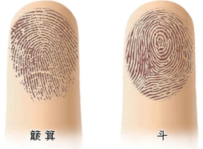 指纹算命图解，探索指纹与命运的神秘联系插图