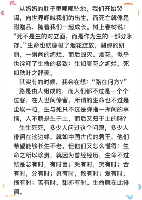 在棺材里沉睡的梦，探寻生命深处的安宁与救赎插图