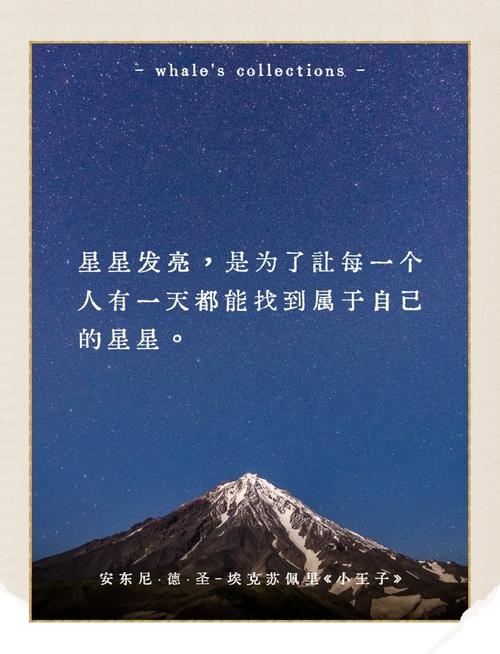 照乘骊珠，星野涵辉的珍贵寓意与美好愿景插图