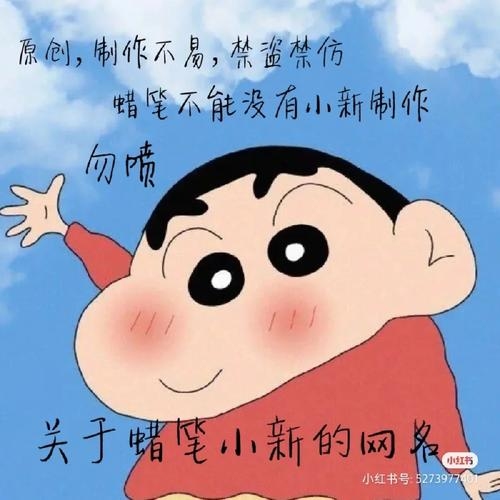 自嘲怪咖网名，小新卖蜡笔幽默昵称插图