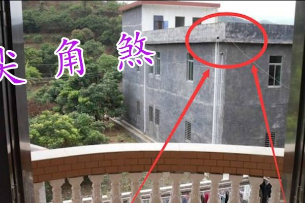 艾草挂门口的风水智慧与禁忌-新乐天