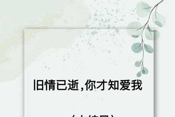 爱情人网，重温旧梦，再续前缘-新乐天