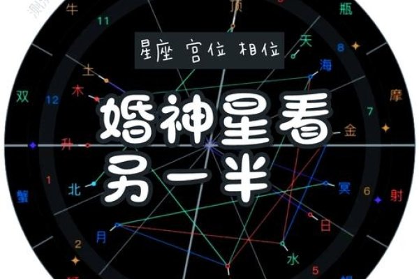 爱情运势占卜，破晓时光的璀璨星光-新乐天