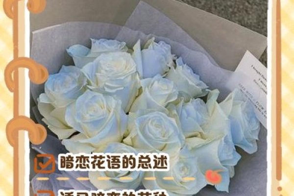 暗恋之花的花语-新乐天