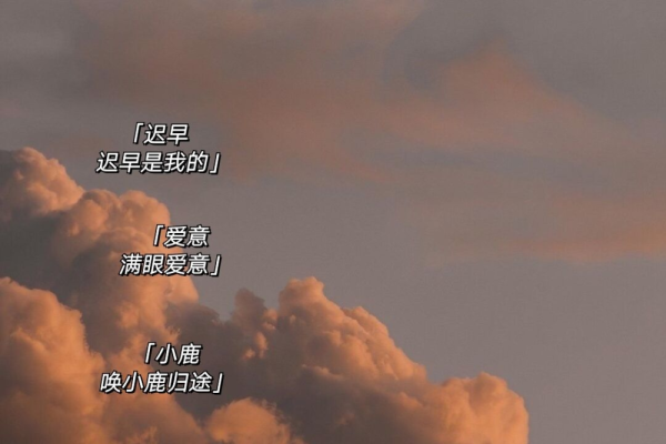 爱意满满的优质英文名，个性情侣英文网名400个精选部分示例-新乐天