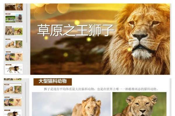 百度百科中的狮子形象与梦境解析-新乐天