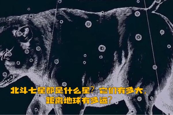 北斗七星所属星座揭秘-新乐天
