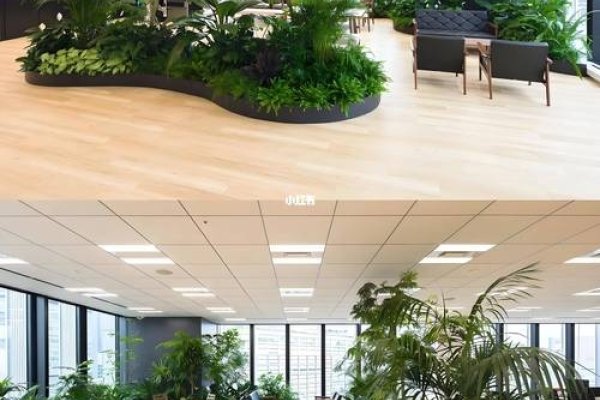 办公室花卉摆放风水,营造和谐与繁荣的办公环境-新乐天