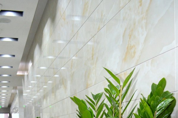 办公室摆放植物风水研究-新乐天