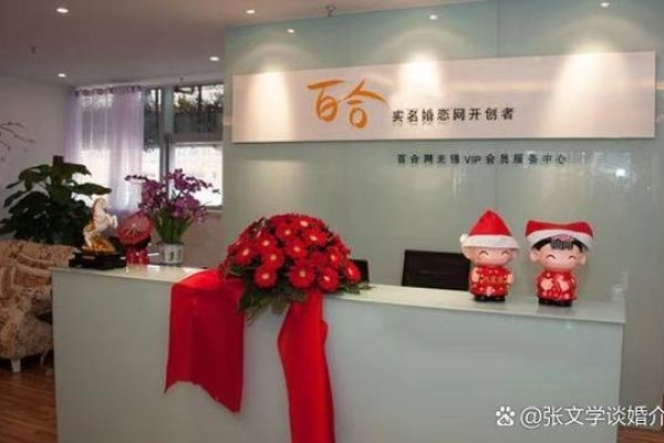 百合网，老牌婚恋平台，会员制度保障交流质量-新乐天