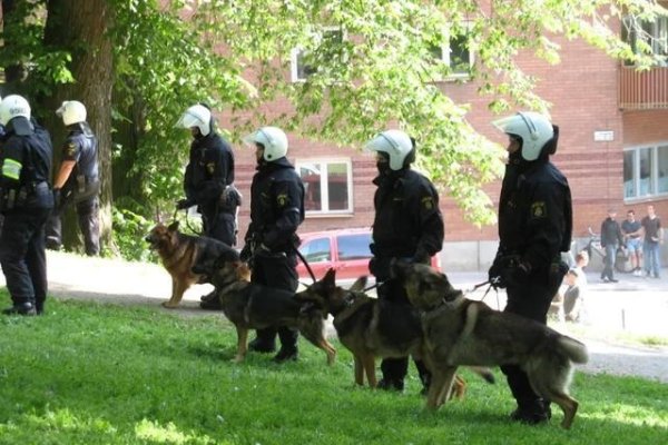 保家卫国的生肖—英勇之狗-新乐天