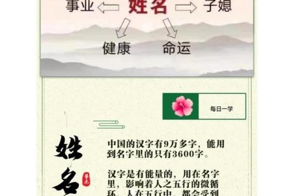 百家姓起名，探寻汉字智慧与人生密码-新乐天