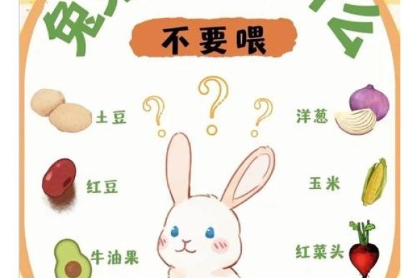 本命年兔年需要注意的事项-新乐天