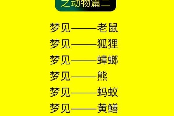 白日做梦生肖探究-新乐天