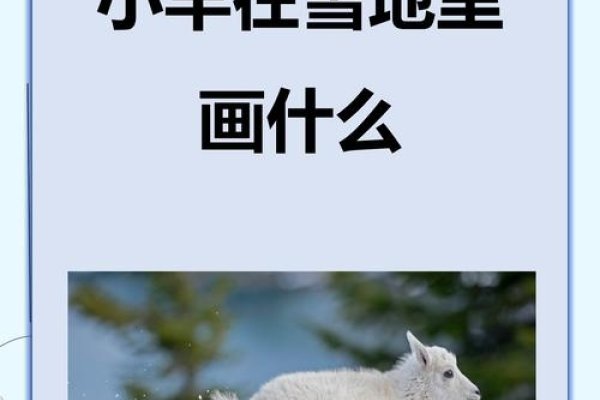 冰天雪地中的生肖之谜-新乐天