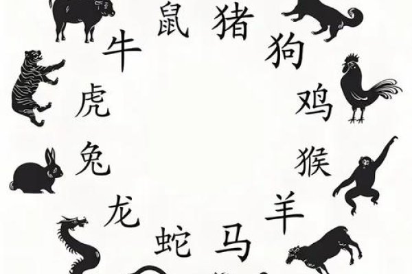 百无一用打圈圈是什么生肖-新乐天