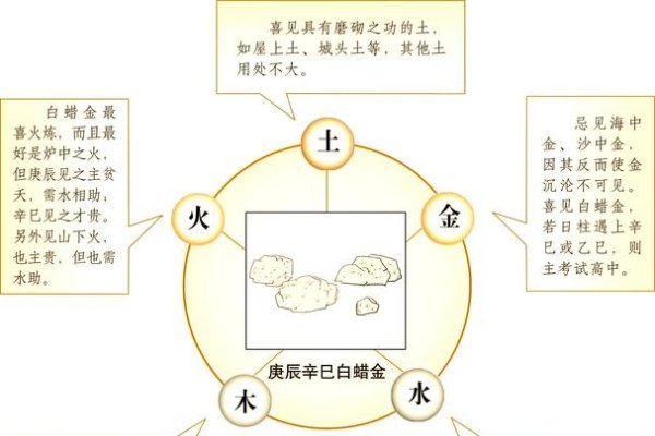 白蜡金命的含义与解读-新乐天