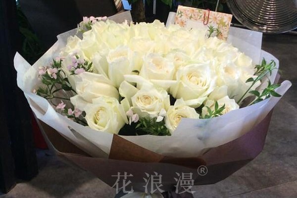 白玫瑰不能随便送人，深藏的寓意与注意事项-新乐天