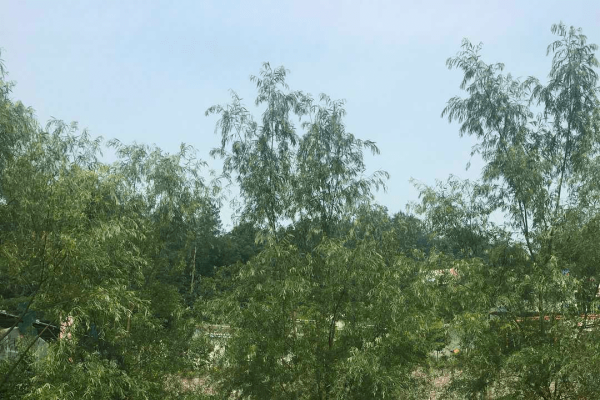 北京征婚信息,在繁华都市中寻找心灵的归宿-新乐天