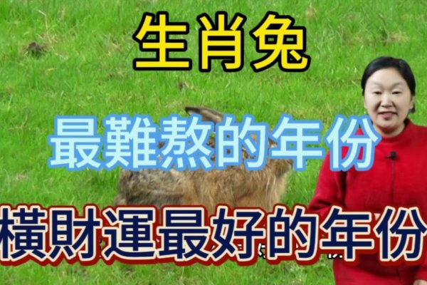 不伤脾胃的生肖—兔-新乐天