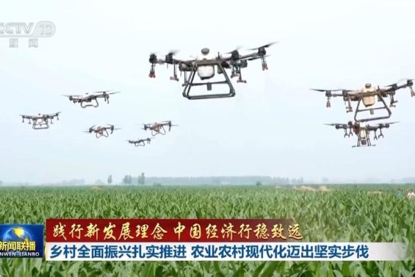 白芸与秦书记，共筑乡村振兴的坚实桥梁-新乐天