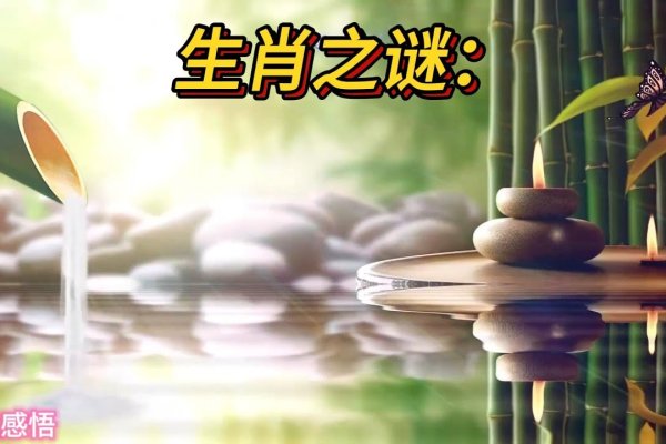 层出不穷的生肖之谜-新乐天