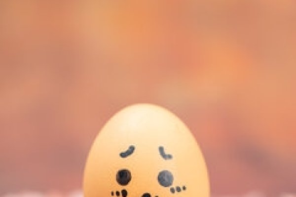 春分立蛋意义大-新乐天