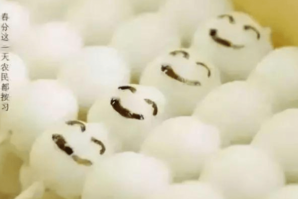 春分竖鸡蛋，古老习俗与现代科学的奇妙交汇-新乐天