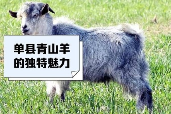 草木逢春指的是生肖羊-新乐天